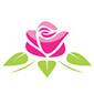 Contacter EDen Roses