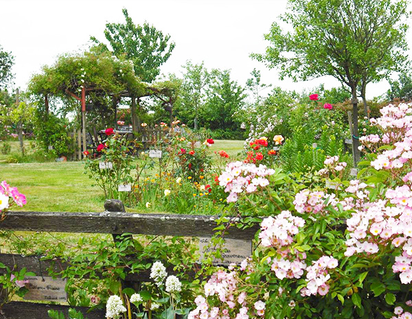  location maison vacances en vendée