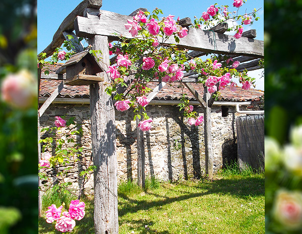  location maison vacances en vendée