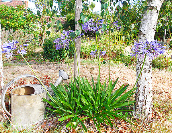  location maison vacances en vendée